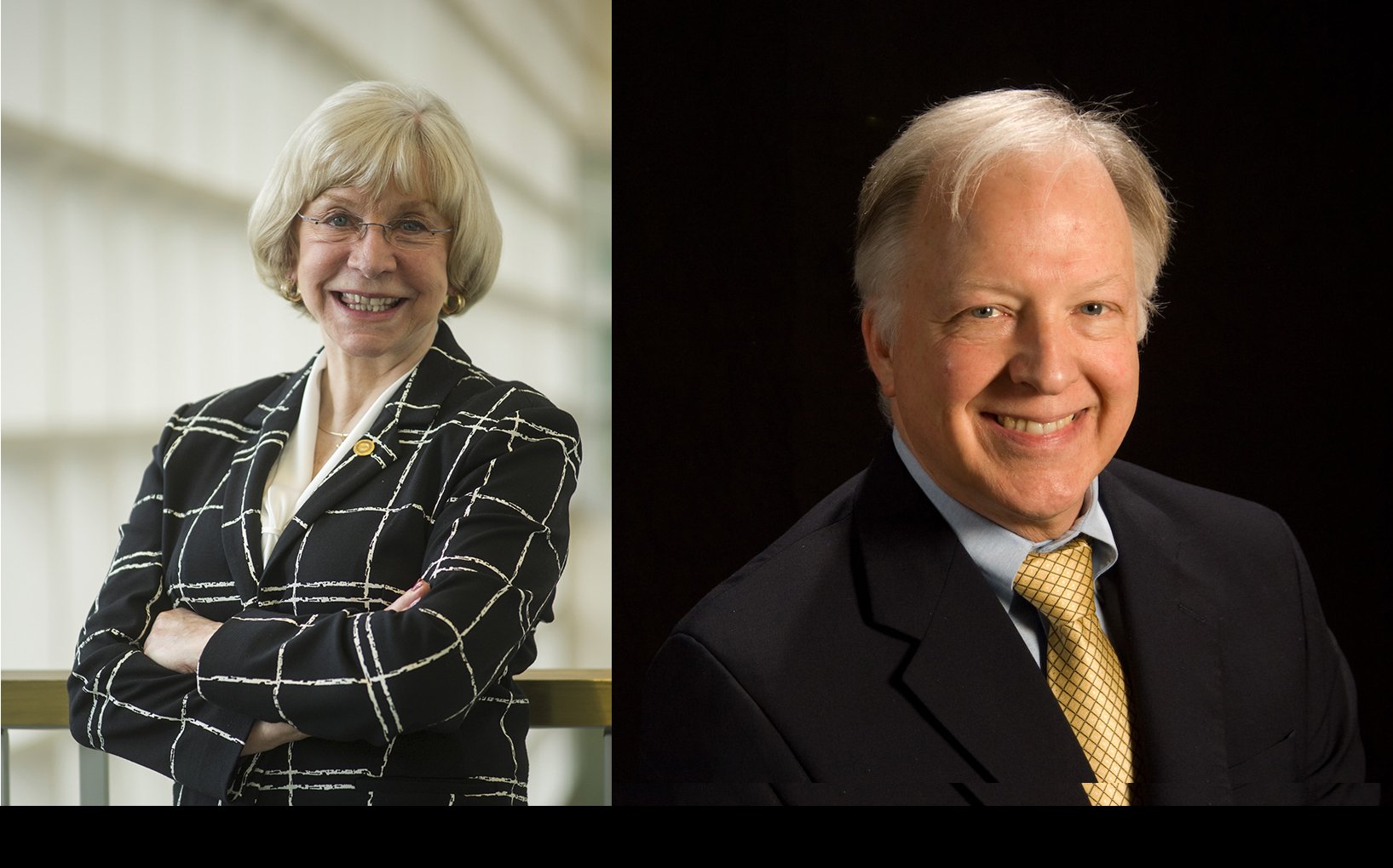 Psychologist and Educator Named Distinguished in Service by SUNY